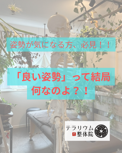 姿勢が気になる方、必見！！
『良い姿勢』って結局何なのよ？！😎