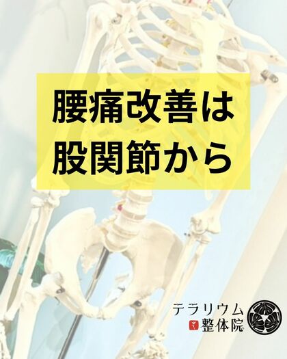 腰痛改善は股関節から！🌸