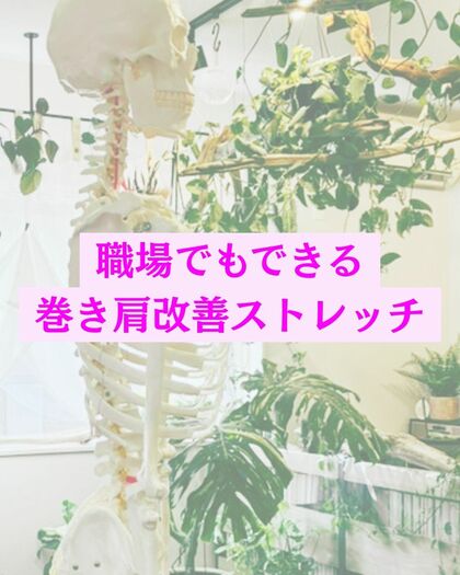 職場でもできる巻き肩改善ストレッチ🐈