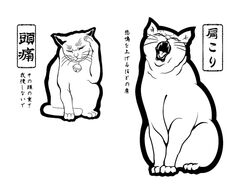 首肩こりスッキリ楽々コース