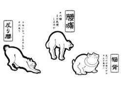 腰痛改善ストレッチコース
