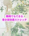 職場でもできる巻き肩改善ストレッチ🐈